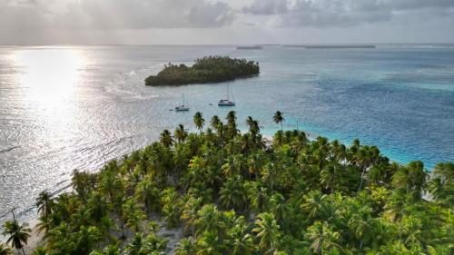 an island with palm trees and boats in the water at sanblasonsailboats in El Porvenir