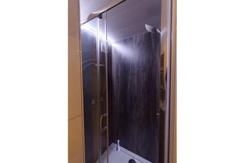 W łazience znajduje się prysznic z lustrem i toaleta. w obiekcie Hausboot Fjord Vela mit Biosauna in Barth w mieście Barth