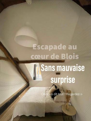 Fotografia z galérie ubytovania Cœur de Blois centre historique v destinácii Blois