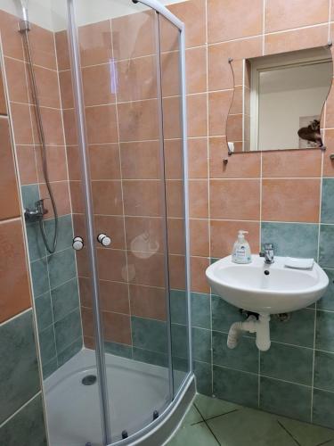 ein Bad mit einer Dusche und einem Waschbecken in der Unterkunft Apartmány EMMA in Podhájska