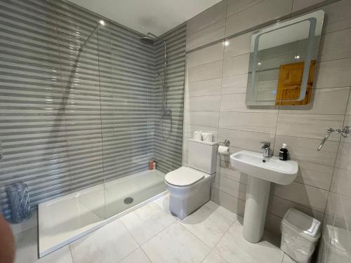 een badkamer met een toilet, een wastafel en een douche bij Aonach in Dingle