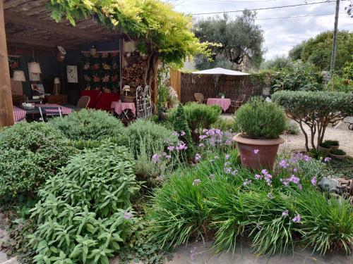 - un jardin avec un bouquet de plantes et de fleurs dans l'établissement Le Mas Saint Pierre, à Roquefort-les-Pins