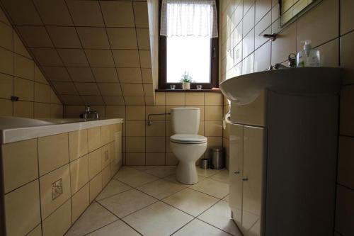 a bathroom with a toilet and a sink and a window at Chalupa Dejnowo in Pilec