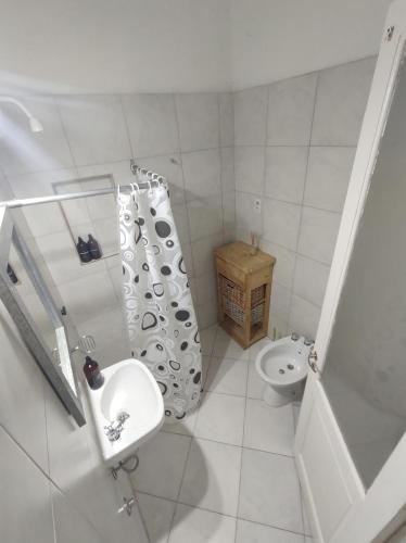ein Bad mit einem Waschbecken, einem WC und einer Dusche in der Unterkunft El Bicho Negro Hostel in Concordia