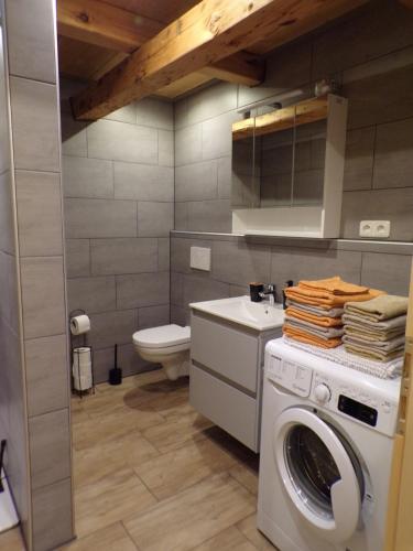 a bathroom with a washing machine and a toilet at Ferienwohnung Moharblick 2 in Großkirchheim