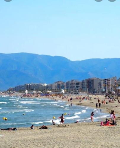 un groupe de personnes sur une plage près de l'océan dans l'établissement Suite 21 - Clim - front de mer, à Canet