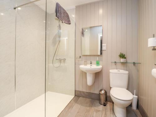 a bathroom with a shower and a toilet and a sink at Beech Lodge in Preston