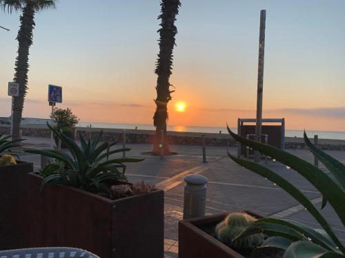 - un coucher de soleil sur la plage avec des palmiers et des plantes dans l'établissement Suite 31 - Clim - front de mer, à Canet