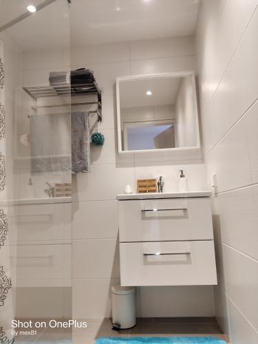 a bathroom with a sink and a mirror and a shower at Ferienwohnung Grete, an der Weinstraße in Ehrenhausen