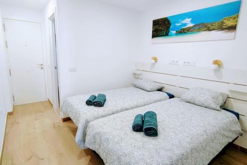 Caribe 530 by CASAS COCODRILO