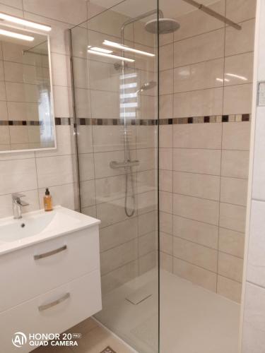 a bathroom with a shower and a sink at Studio24 in Trélissac