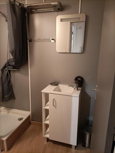 W łazience znajduje się umywalka, lustro i prysznic. w obiekcie La Dourbie w mieście Saint-Jean-du-Bruel