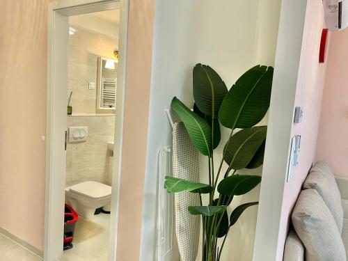 Fotografia z galérie ubytovania MM D Home Apartment v Budapešti