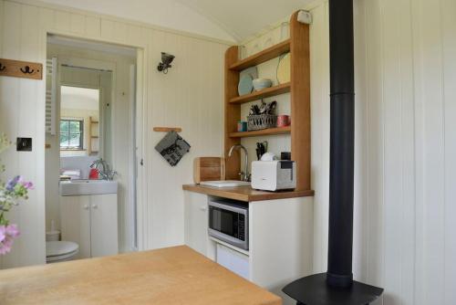a small kitchen with a microwave and a sink at The Shepherd's Hut @ Chichester Cottage in Chichester