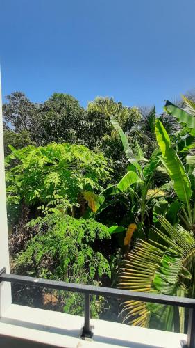 Ảnh trong thư viện ảnh của GRANDIFLORA safari resort ở Udawalawe