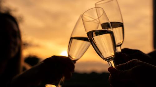 two people holding champagne glasses in front of the sunset at Landgoed Moerslag in Sint Geertruid