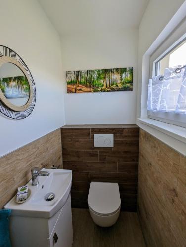 a bathroom with a toilet and a sink and a mirror at Ferienhof-Dachsberg Wohnung Paradies in Bermatingen