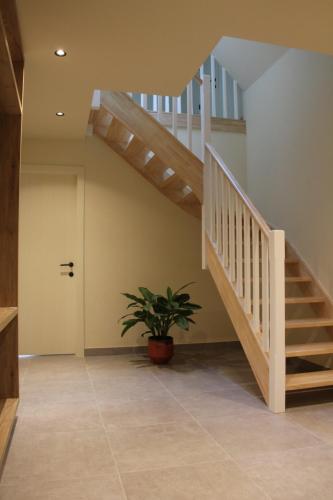 a staircase in a house with a potted plant at De Romanie in Mangelaar