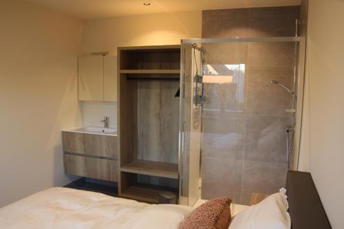 een badkamer met een douche, een bed en een wastafel bij De Romanie in Mangelaar