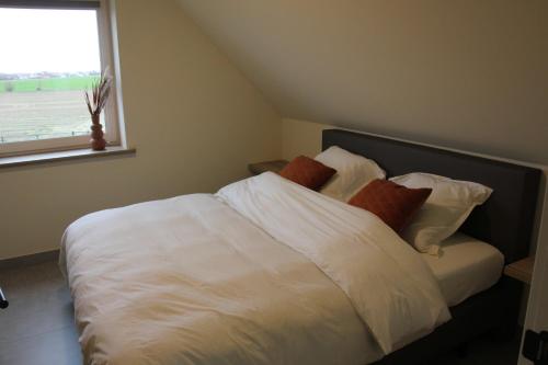 um quarto com uma cama branca com almofadas e uma janela em De Romanie em Mangelaar