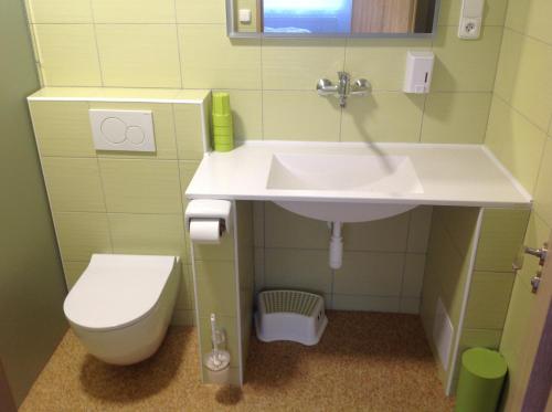a bathroom with a sink and a toilet at Penzion Zelená zahrada in Kladenské Rovné