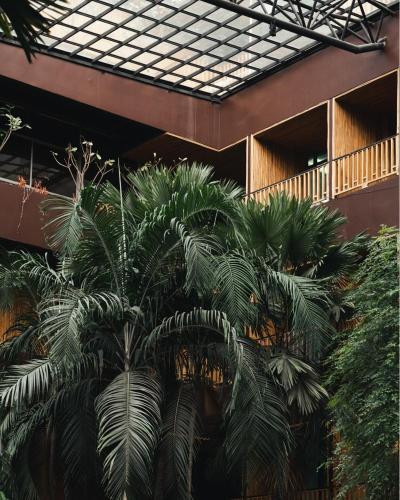 a palm tree in front of a building at 515 VICTORY Hotel in Pom Prap