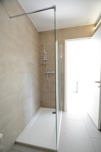 a shower with a glass door in a bathroom at La Costa di Alex in Minusio