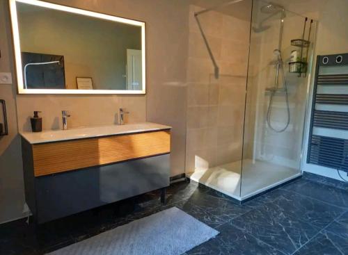 a bathroom with a sink and a shower at La Roque de Bas in La Rivière