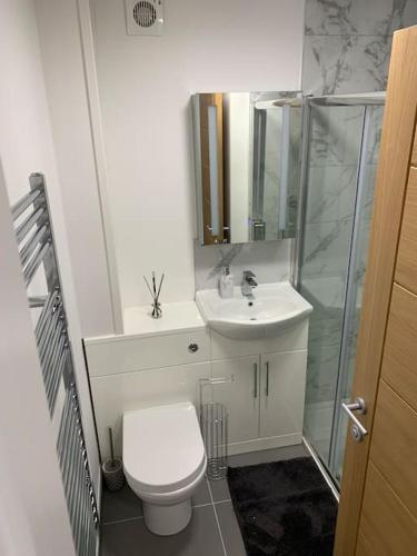 a bathroom with a toilet and a sink and a shower at Newly built 2 bed flat in the heart of Leek in Leek