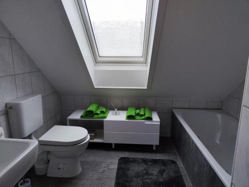 een badkamer met een toilet, een wastafel en een dakraam bij Ferienhaus Hermann in Schönwald