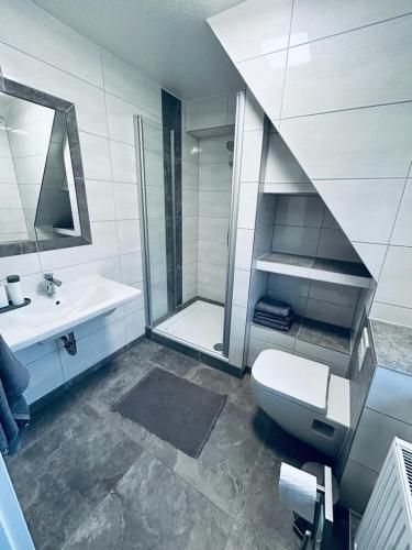 a bathroom with a shower and a toilet and a sink at Dümmer Perle Apartments in Hüde