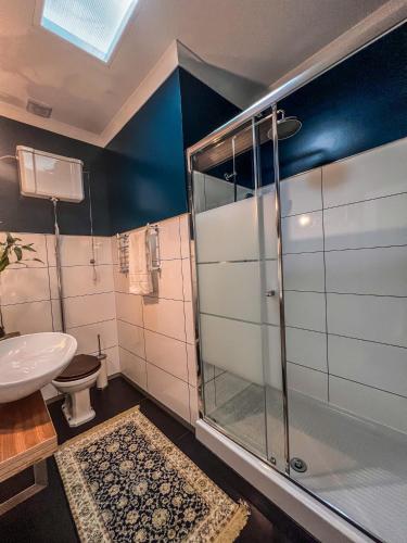 a bathroom with a shower and a toilet and a sink at Casas Dona Matilde in Torre de Moncorvo