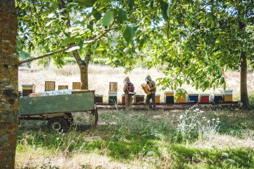 two people standing in front of a toy train at Agriturismo Bellofatto in Torella deʼ Lombardi