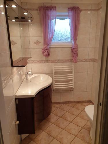 a bathroom with a sink and a window at Ljungsarp-Västra Götalands Iän-Hasewinkel in Ljungsarp