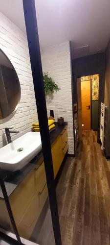 une salle de bain avec un lavabo et un miroir dans l'établissement LA ROCHELAISE : Appartement calme & somptueux dans l'hyper centre., à La Rochelle