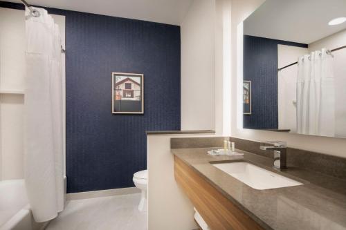 ein Bad mit einem Waschbecken und einem WC in der Unterkunft Fairfield by Marriott Inn & Suites Franklin Cool Springs in Franklin