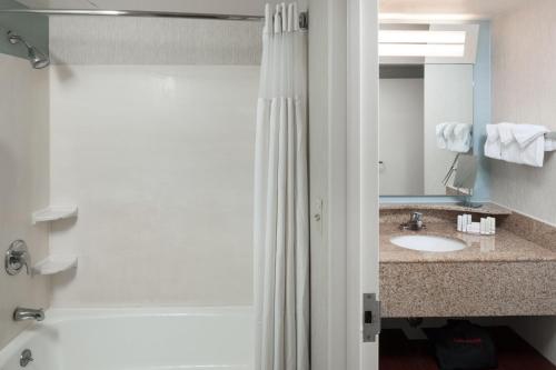 La salle de bains est pourvue d'un rideau de douche et d'un lavabo. dans l'établissement Courtyard Virginia Beach Oceanfront/South, à Virginia Beach