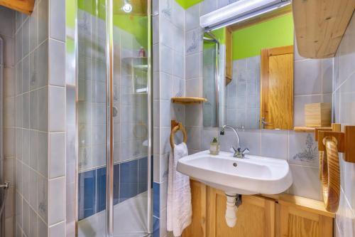 une salle de bain avec un lavabo et une douche dans l'établissement Le Petit Sapin, à La Bresse