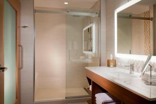 Ένα μπάνιο στο The Westin Dallas Downtown