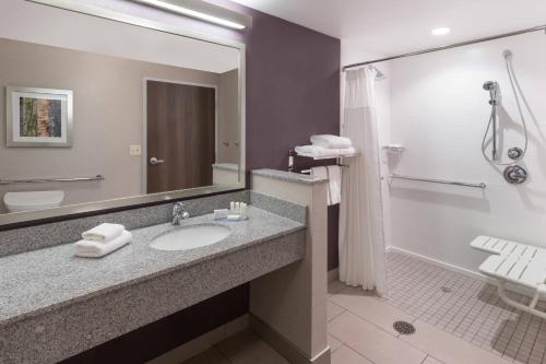 a bathroom with a sink and a large mirror at Fairfield Inn & Suites by Marriott Chicago Schaumburg in Schaumburg