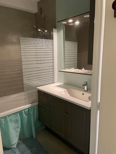 une salle de bain avec un lavabo et un miroir dans l'établissement Grand T3 Terrasse calme Vue sur citadelle, à Besançon