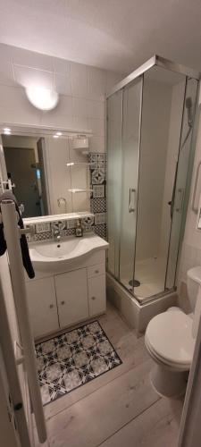 une salle de bain avec une douche, un lavabo et des toilettes dans l'établissement Appartement vue mer climatisé Seaview AC apartment Saint Pierre la Mer, à Fleury