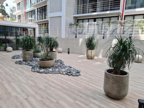 a group of potted plants in front of a building at Apartamento moderno 2 habitaciones y 2 baños area Cayala y Embajada USA in Guatemala