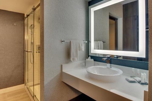 a bathroom with a sink and a mirror at Huntsville Marriott at the Space & Rocket Center in Huntsville