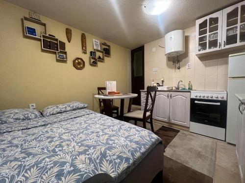 1 dormitorio con 1 cama y cocina pequeña en Green Hills II by Rent a car MI en Podgorica