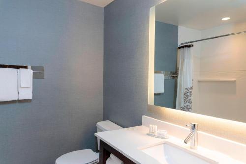 a bathroom with a sink and a toilet and a mirror at Residence Inn by Marriott Akron South/Green in Akron