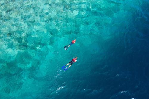 two people are swimming in the blue water at The Ocean Club, a Luxury Collection Resort, Costa Norte in Sosúa