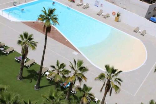 an overhead view of a large swimming pool with palm trees at Pink 430 in Playa del Ingles