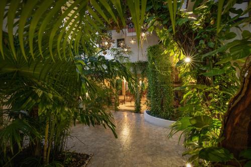 Κήπος έξω από το Hotel Hulku