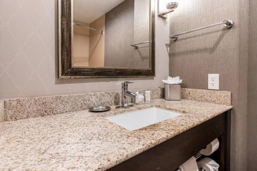 a bathroom with a sink and a mirror at SpringHill Suites by Marriott Waco Woodway in Woodway